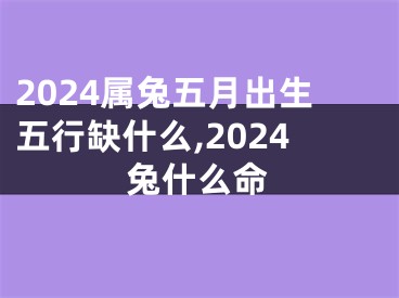 2024属兔五月出生五行缺什么,2024兔什么命