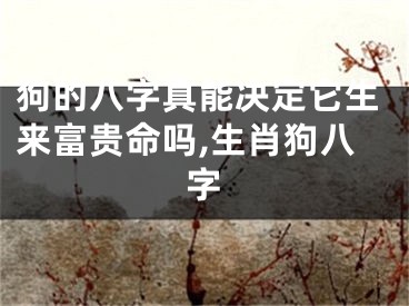 狗的八字真能决定它生来富贵命吗,生肖狗八字