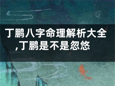丁鹏八字命理解析大全,丁鹏是不是忽悠