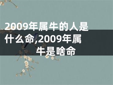 2009年属牛的人是什么命,2009年属牛是啥命