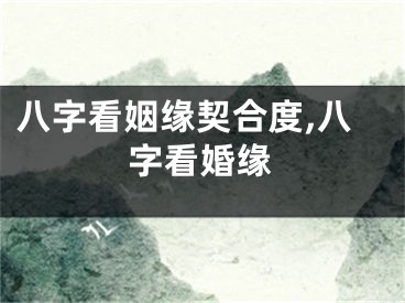 八字看姻缘契合度,八字看婚缘