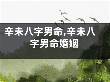 辛未八字男命,辛未八字男命婚姻