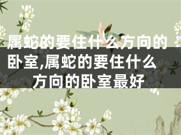 属蛇的要住什么方向的卧室,属蛇的要住什么方向的卧室最好