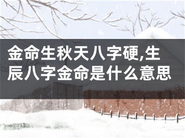 金命生秋天八字硬,生辰八字金命是什么意思