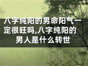 八字纯阳的男命阳气一定很旺吗,八字纯阳的男人是什么转世
