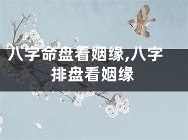 八字命盘看姻缘,八字排盘看姻缘