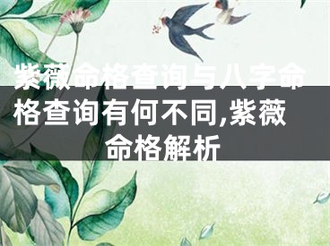 紫薇命格查询与八字命格查询有何不同,紫薇命格解析