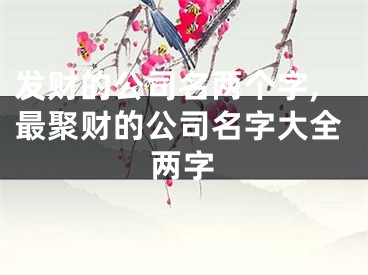 发财的公司名两个字,最聚财的公司名字大全两字