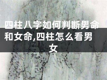 四柱八字如何判断男命和女命,四柱怎么看男女