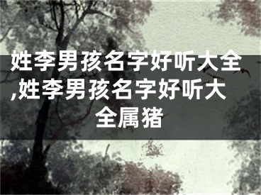 姓李男孩名字好听大全,姓李男孩名字好听大全属猪