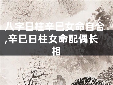 八字日柱辛巳女命自合,辛巳日柱女命配偶长相