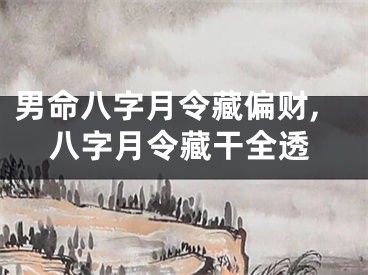 男命八字月令藏偏财,八字月令藏干全透