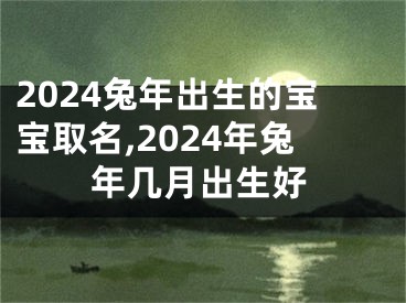 2024兔年出生的宝宝取名,2024年兔年几月出生好