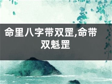 命里八字带双罡,命带双魁罡