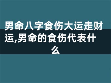 男命八字食伤大运走财运,男命的食伤代表什么