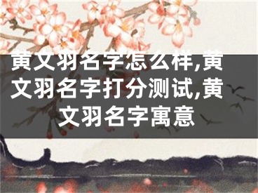 黄文羽名字怎么样,黄文羽名字打分测试,黄文羽名字寓意