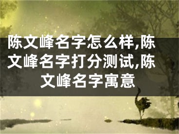 陈文峰名字怎么样,陈文峰名字打分测试,陈文峰名字寓意