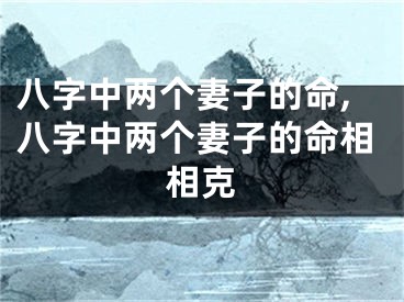 八字中两个妻子的命,八字中两个妻子的命相相克