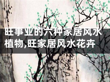 旺事业的六种家居风水植物,旺家居风水花卉