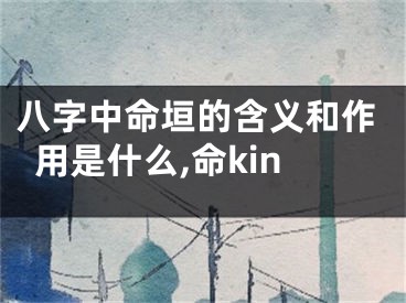 八字中命垣的含义和作用是什么,命kin
