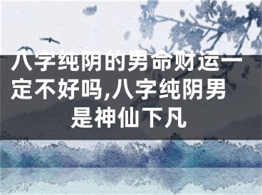 八字纯阴的男命财运一定不好吗,八字纯阴男是神仙下凡