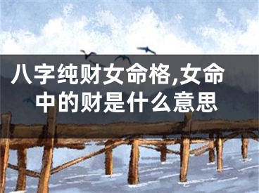 八字纯财女命格,女命中的财是什么意思