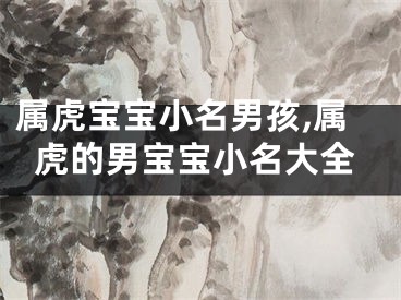 属虎宝宝小名男孩,属虎的男宝宝小名大全