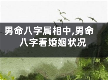 男命八字属相中,男命八字看婚姻状况