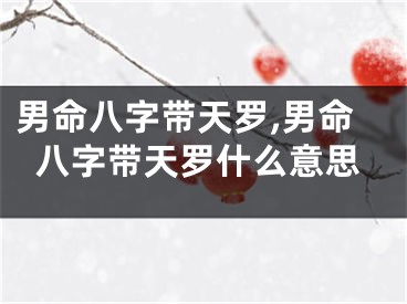 男命八字带天罗,男命八字带天罗什么意思