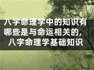 八字命理学中的知识有哪些是与命运相关的,八字命理学基础知识