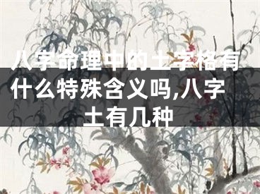 八字命理中的土字格有什么特殊含义吗,八字土有几种