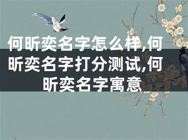何昕奕名字怎么样,何昕奕名字打分测试,何昕奕名字寓意