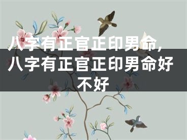 八字有正官正印男命,八字有正官正印男命好不好