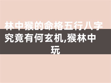 林中猴的命格五行八字究竟有何玄机,猴林中玩