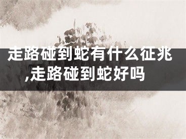 走路碰到蛇有什么征兆,走路碰到蛇好吗
