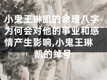 小鬼王琳凯的命理八字为何会对他的事业和感情产生影响,小鬼王琳凯的绰号