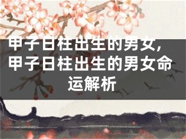 甲子日柱出生的男女,甲子日柱出生的男女命运解析