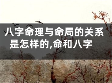 八字命理与命局的关系是怎样的,命和八字