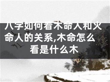 八字如何看木命人和火命人的关系,木命怎么看是什么木