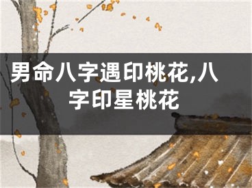 男命八字遇印桃花,八字印星桃花
