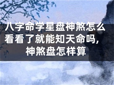 八字命学星盘神煞怎么看看了就能知天命吗,神煞盘怎样算