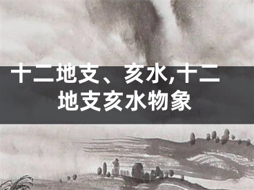 十二地支、亥水,十二地支亥水物象