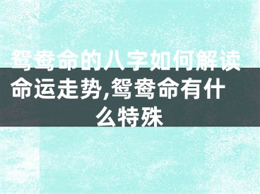 鸳鸯命的八字如何解读命运走势,鸳鸯命有什么特殊