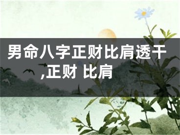 男命八字正财比肩透干,正财 比肩