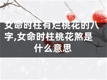 女命时柱有烂桃花的八字,女命时柱桃花煞是什么意思