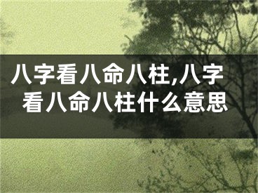 八字看八命八柱,八字看八命八柱什么意思