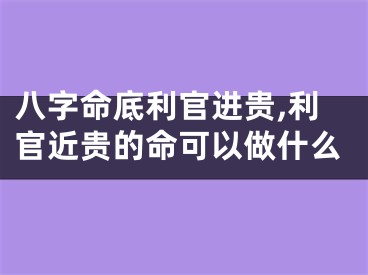 八字命底利官进贵,利官近贵的命可以做什么
