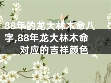 88年的龙大林木命八字,88年龙大林木命对应的吉祥颜色