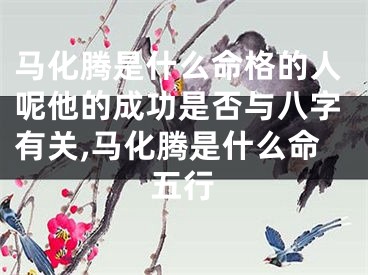 马化腾是什么命格的人呢他的成功是否与八字有关,马化腾是什么命五行