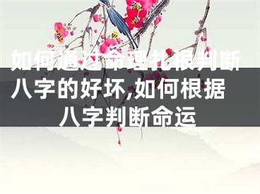 如何通过命理扎根判断八字的好坏,如何根据八字判断命运